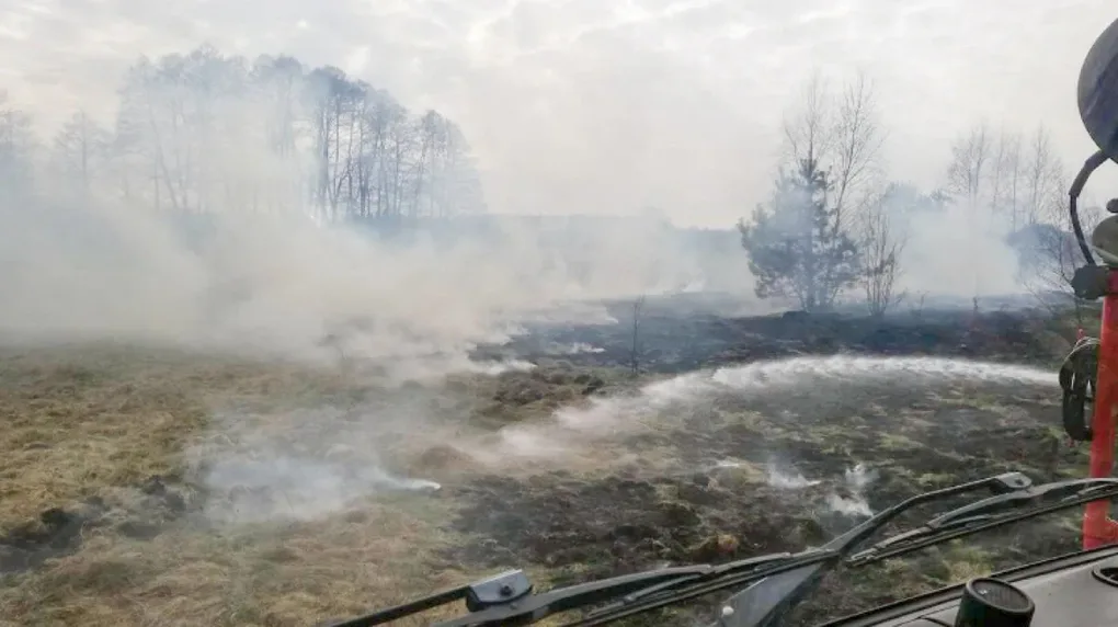 Pożar traw w Rząśniku Szlacheckim (zdjęcia)