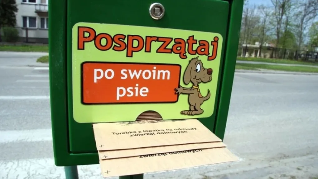 Posprzątaj po swoim pupilu (zdjęcia)