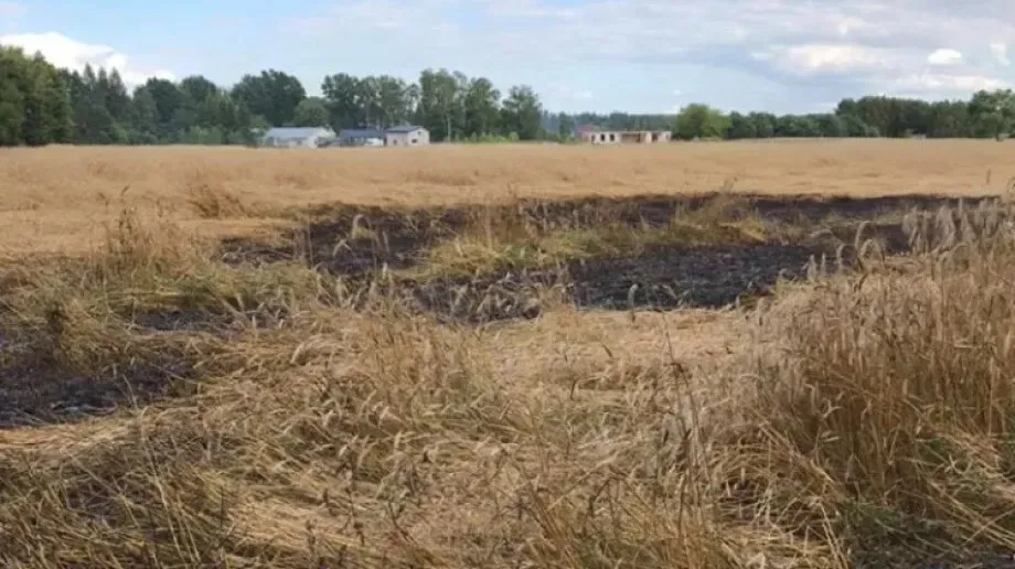 Pożar pola we wsi Stok - szybka interwencja strażaków