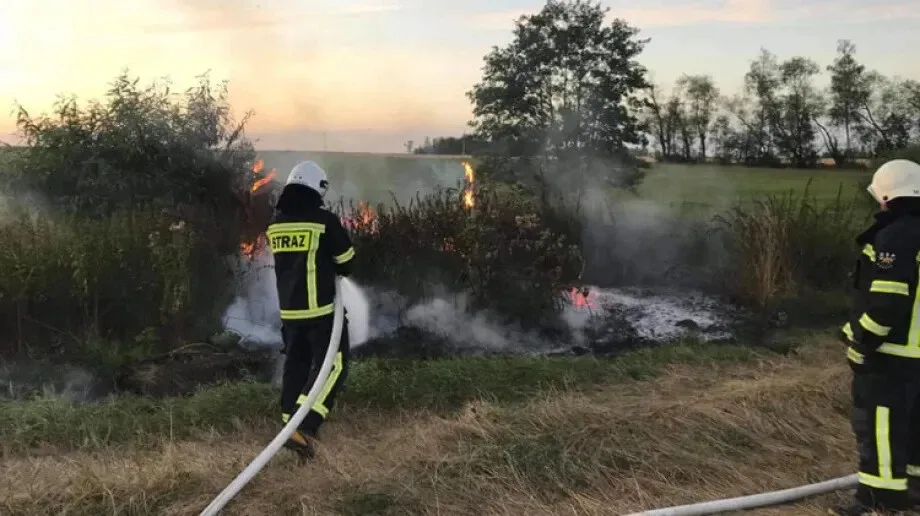 Pożar przydrożnych krzaków - OSP Boguty-Pianki 