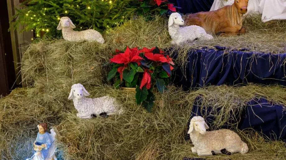 Bożonarodzeniowe szopki w ostrowskich kościołach (zdjęcia) 