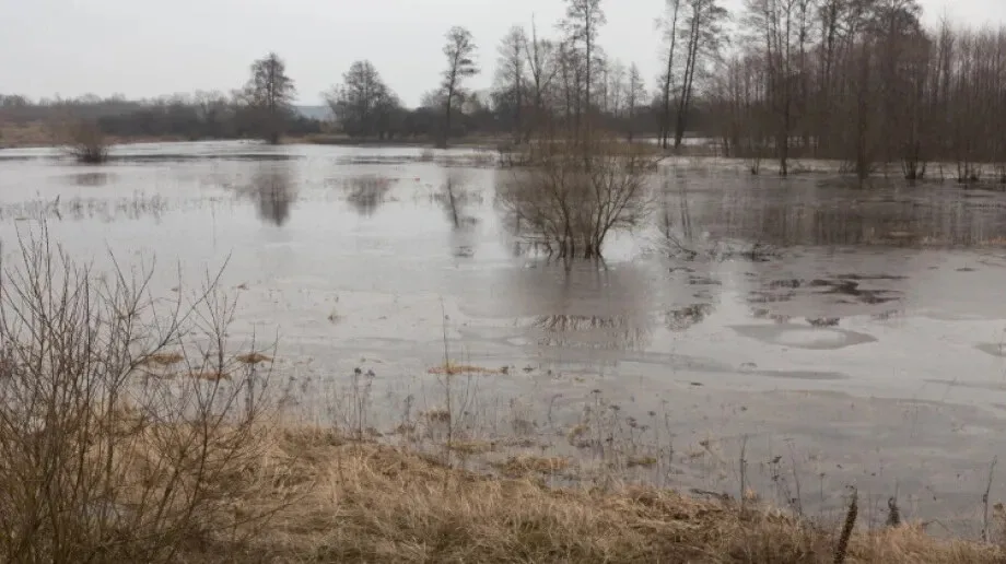 Poziom wody rzeki Bug w pobliżu Małkini Górnej coraz bliżej stanu ostrzegawczego (zdjęcia)