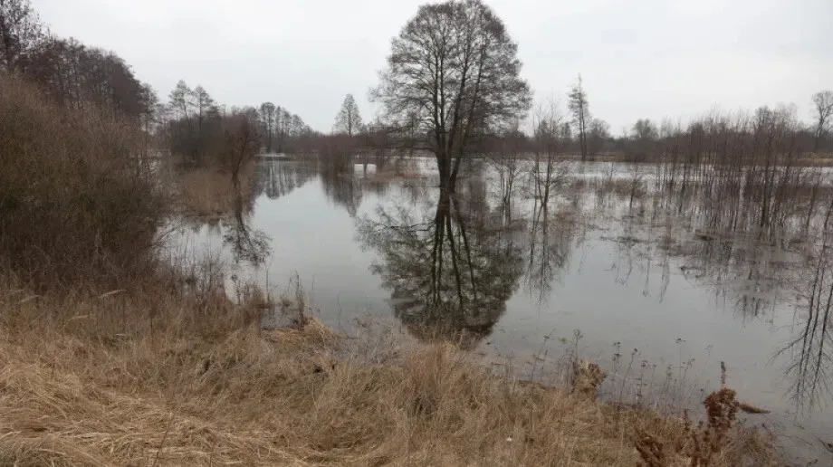 Poziom wody rzeki Bug w pobliżu Małkini Górnej coraz bliżej stanu ostrzegawczego (zdjęcia)
