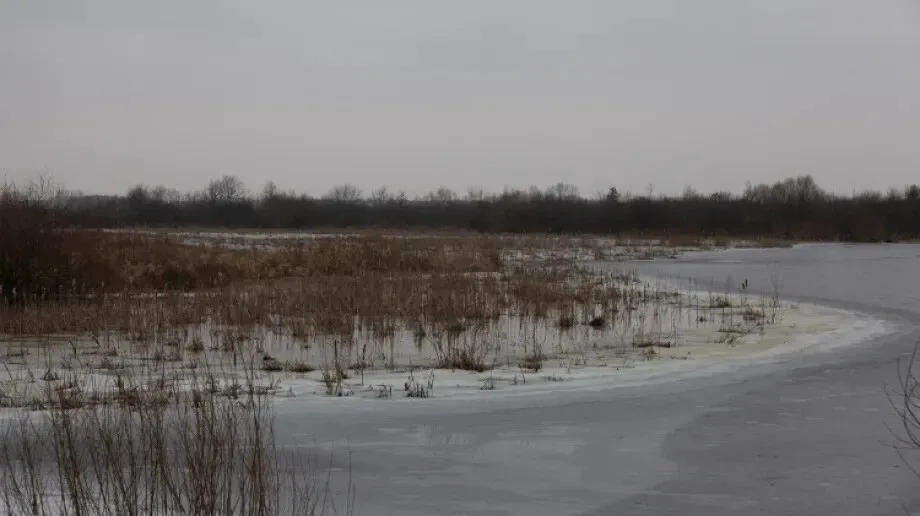Poziom wody rzeki Bug w pobliżu Małkini Górnej coraz bliżej stanu ostrzegawczego (zdjęcia)