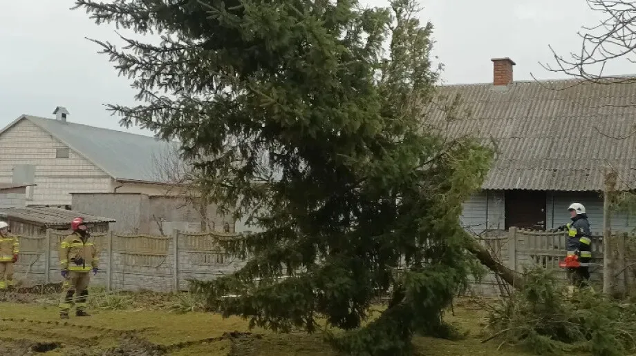 Zalana posesja, powalone drzewa oraz zerwane dachy na terenie gminy Andrzejewo (zdjęcia)