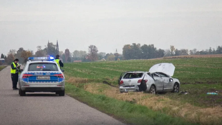 Dachowanie w miejscowości Nieskórz (zdjęcia)