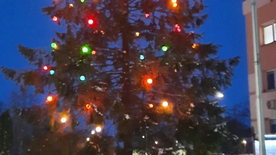 W Andrzejewie rozbłysły świąteczne iluminacje (zdjęcia)