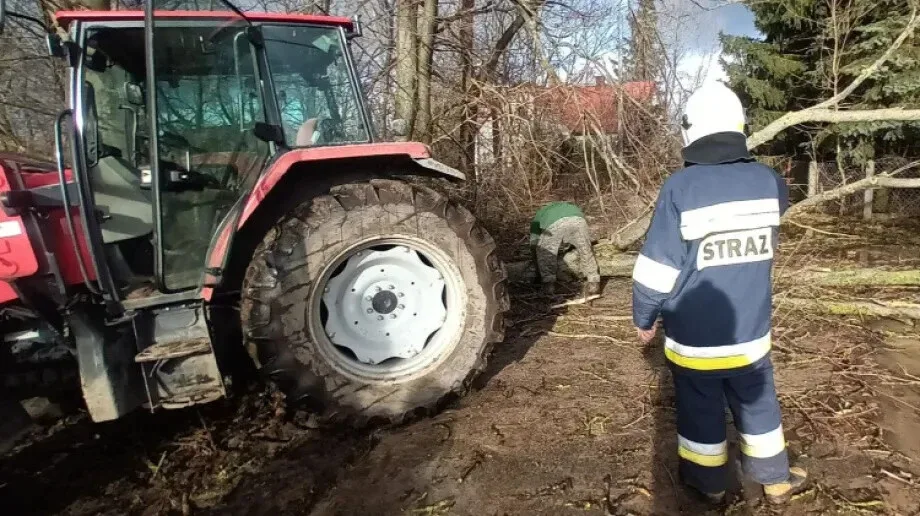 Strażacy z OSP Andrzejewo usunęli powalone drzewo w Jabłonowie Klacze (zdjęcia)
