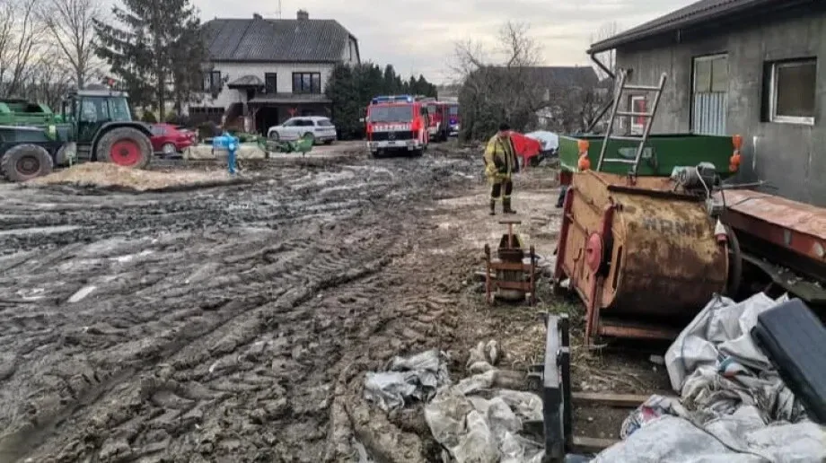  Strażacy uratowali krowy z szamba (zdjęcia)