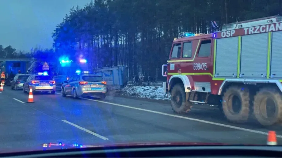 Krowy na ekspresówce! Wypadek na trasie S8 (zdjęcia, aktualizacja)