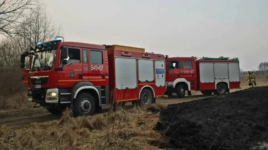 Rozległy pożar traw i zarośli w Prostyni (zdjęcia)