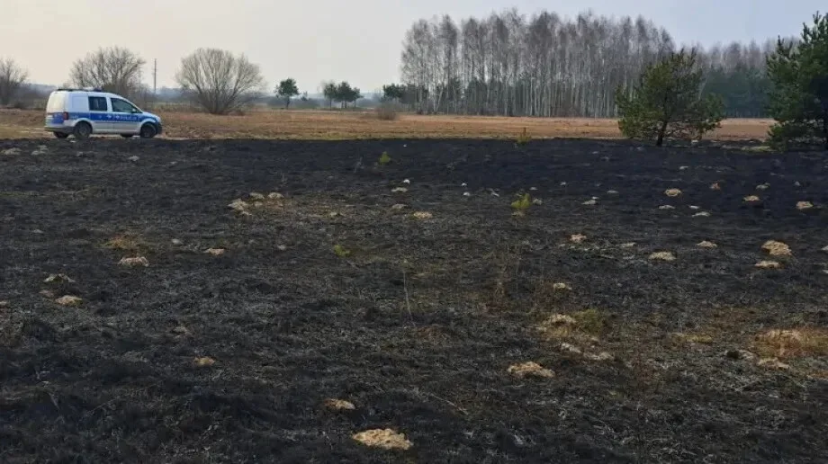Rozległy pożar traw i zarośli w Prostyni (zdjęcia)
