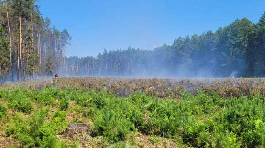 Groźny pożar w Turce. Ogień gaszono z ziemi i powietrza (zdjęcia)