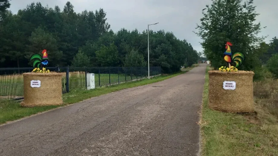 Dożynki tuż-tuż! Gmina Ostrów Mazowiecka szykuje wielkie święto w Kozikach (zdjęcia)
