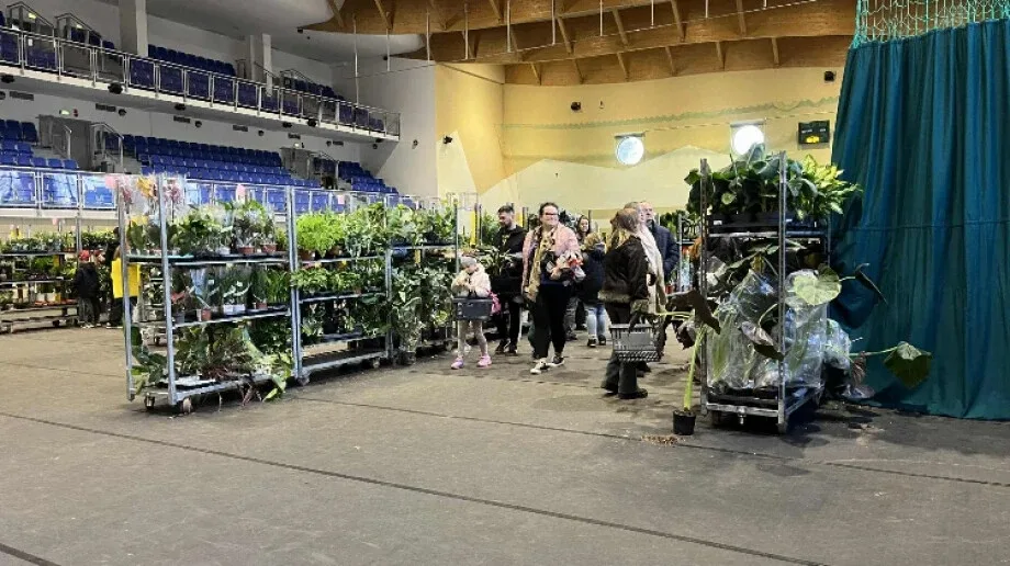 Festiwal Roślin w Ostrowi Mazowieckiej. Raj dla miłośników ogrodów i roślin domowych (zdjęcia)