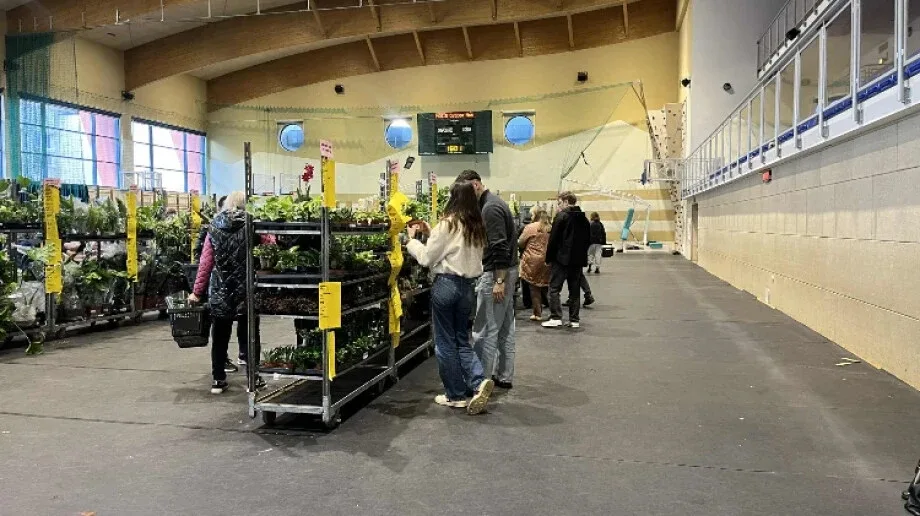 Festiwal Roślin w Ostrowi Mazowieckiej. Raj dla miłośników ogrodów i roślin domowych (zdjęcia)
