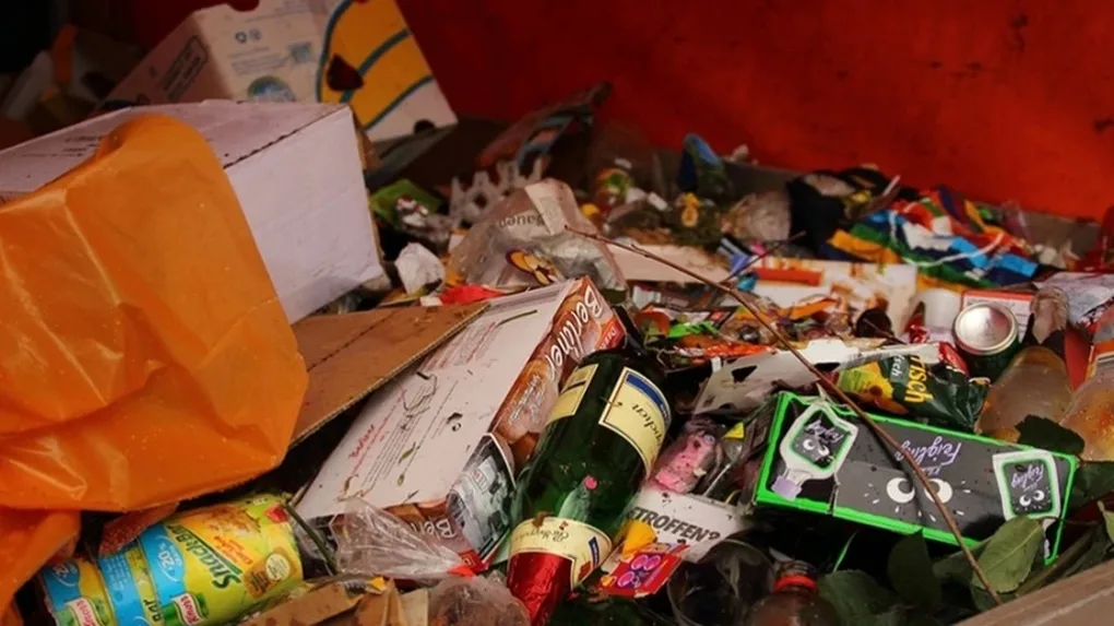 Rocznie wyrzucamy około 9 mln ton żywności