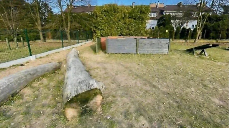 Wiceprzewodnicząca Rady Miasta chce psiego parku nad stawem miejskim w Ostrowi Mazowieckiej