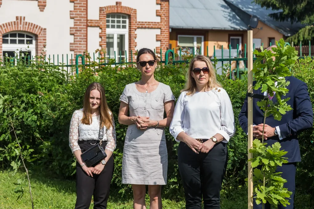 Aleja Dębów powstała na terenie "Ekonomika" (zdjęcia)