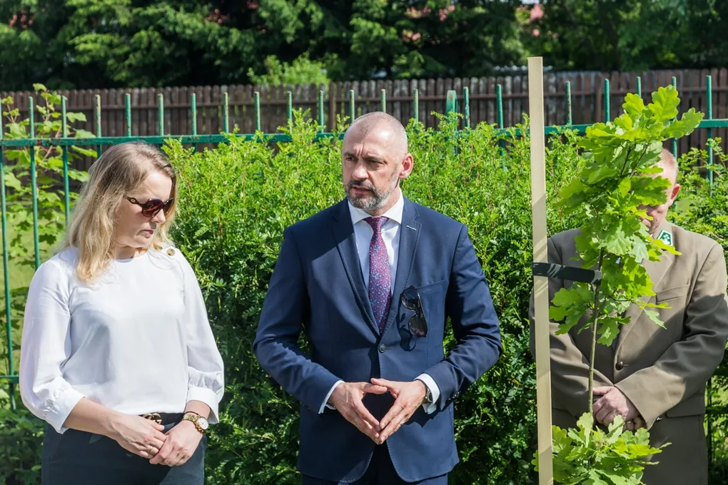 Aleja Dębów powstała na terenie "Ekonomika" (zdjęcia)