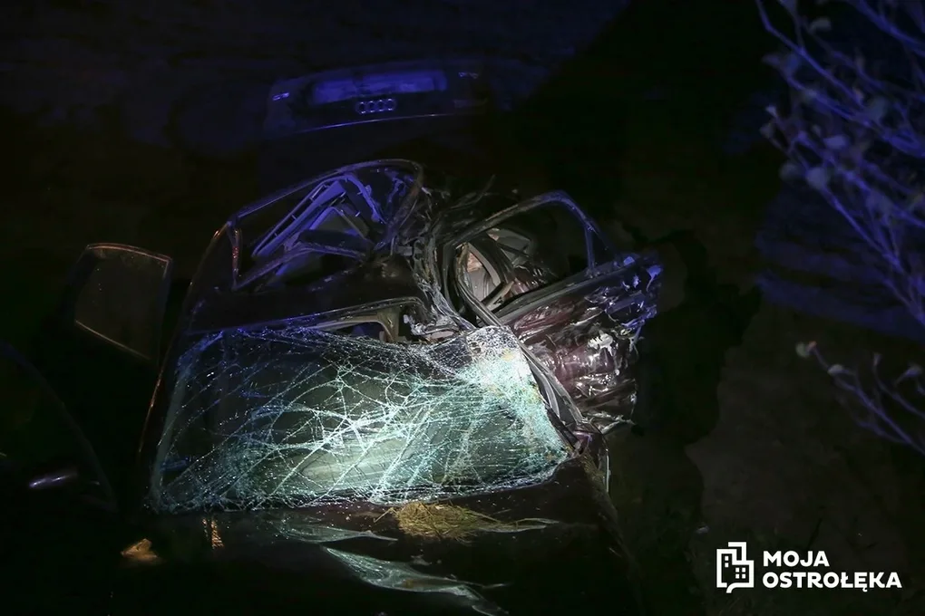 Kierowca osobowego audi zmarł w szpitalu (zdjęcia z wypadku)