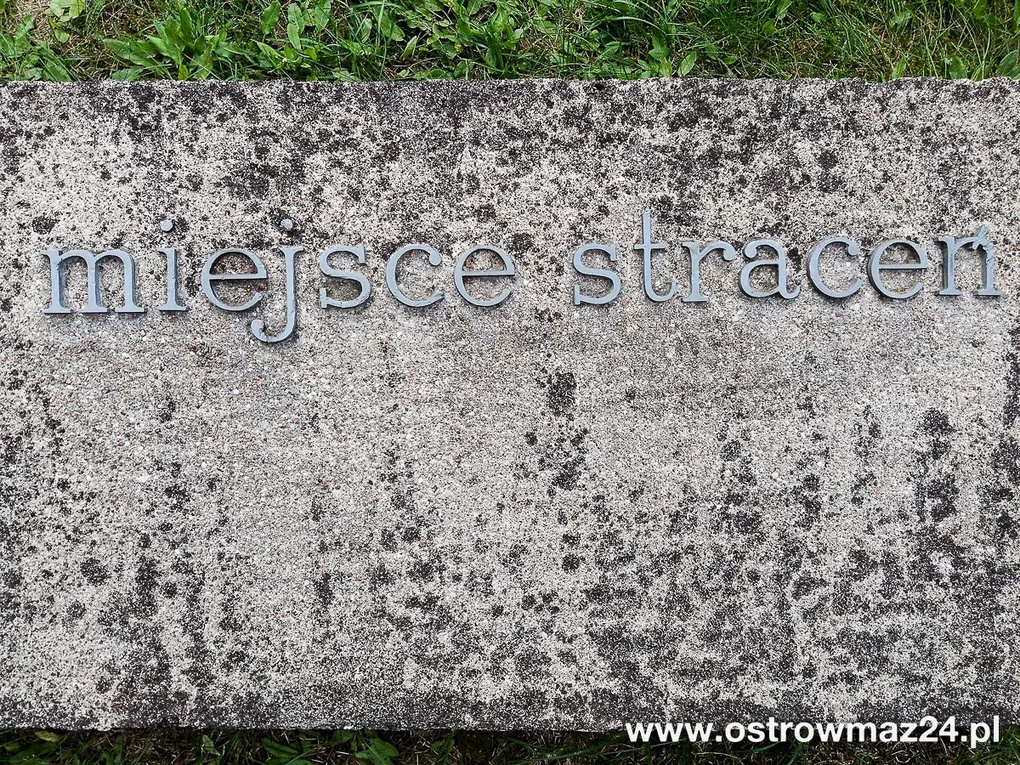 Uroczystości w Treblince (zdjęcia)
