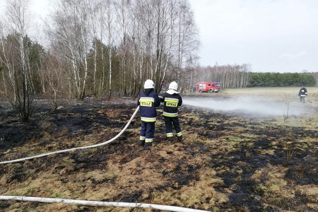 Pożar traw w Rząśniku Szlacheckim (zdjęcia)