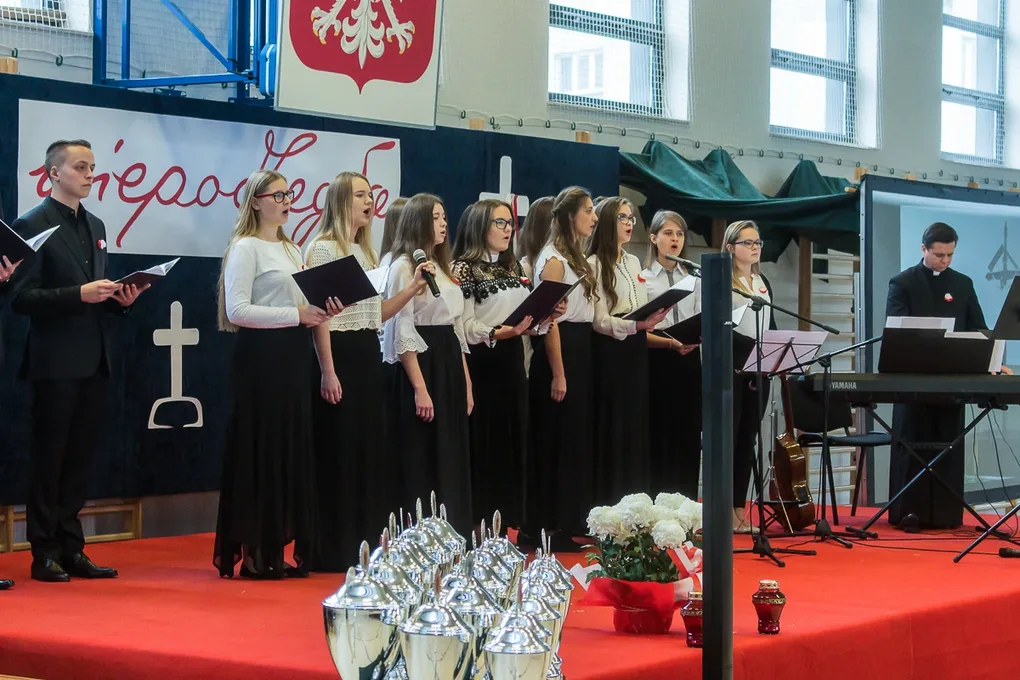 Powiatowe obchody Święta Niepodległości (zdjęcia, wideo)