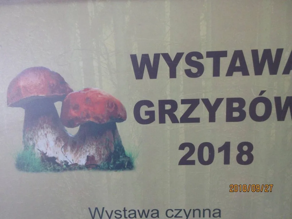 Wystawa grzybów w siedzibie PSSE (zdjęcia)