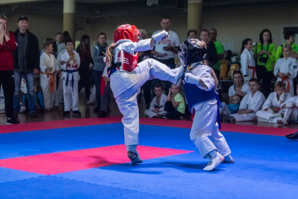 Setki karateków na macie (zdjęcia, wideo)