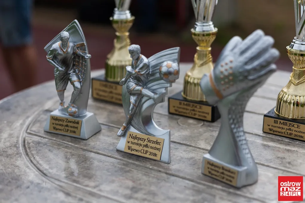 Osiem drużyn rywalizowało w Wąsewo Cup 2018 (zdjęcia, wideo)