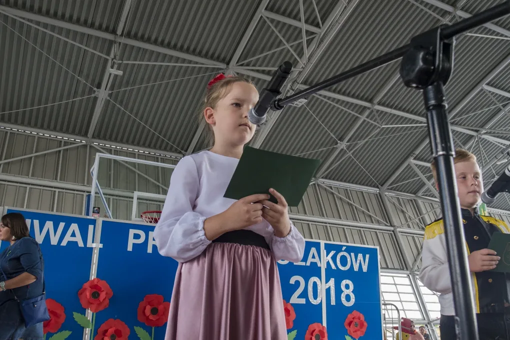 Dni Ostrowi 2018 - Festiwal Przedszkolaka (zdjęcia, wideo)