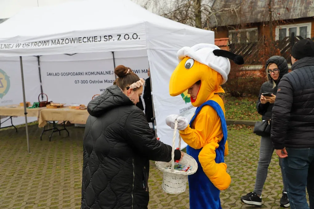 Ponad 200 choinek trafiło do mieszkańców Ostrowi! Ekologiczna akcja zakończona sukcesem! (zdjęcia)
