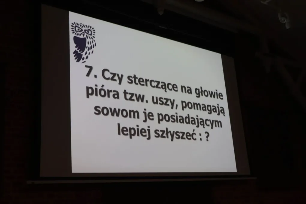 VIII Noc z Sowami w Ostrowi Mazowieckiej (zdjęcia)