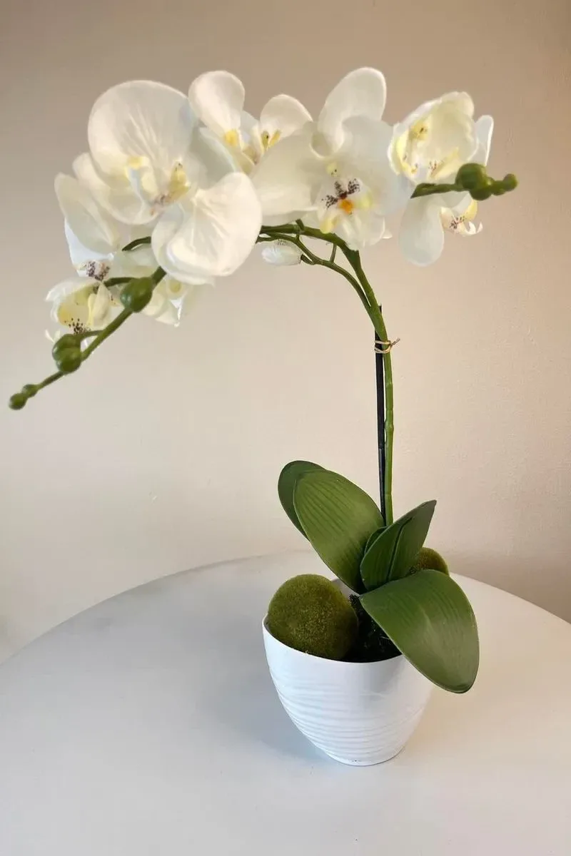 Kolorowy świat kwiatów sztucznych
