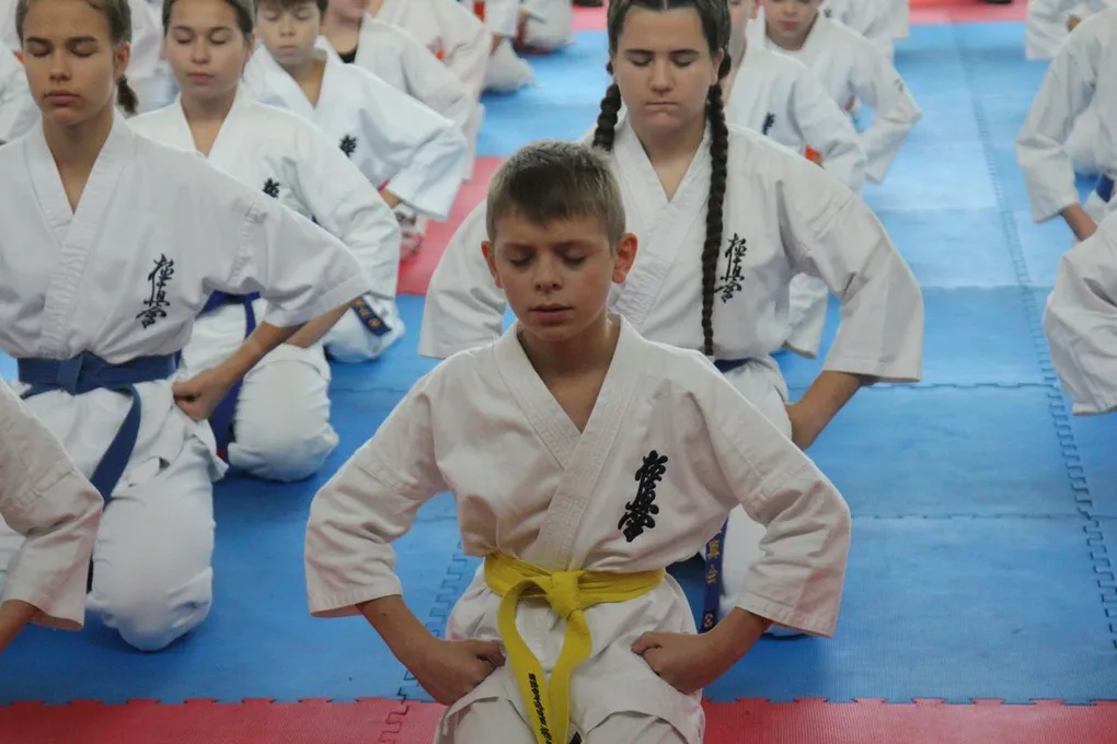 Nasi karatecy z medalami (zdjęcia)