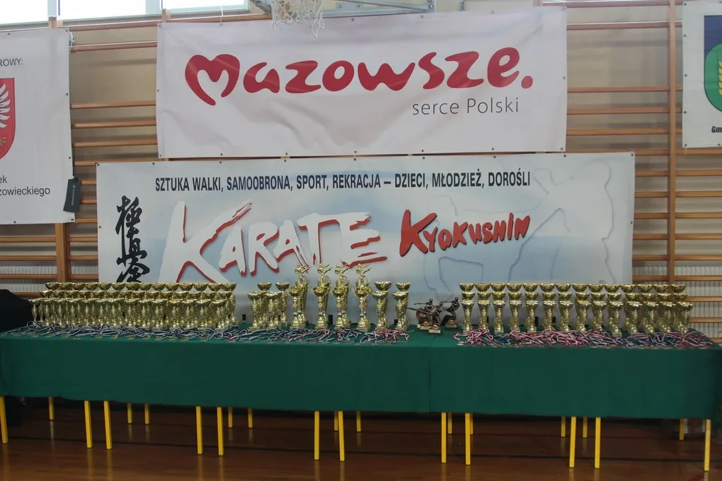 Nasi karatecy z medalami (zdjęcia)
