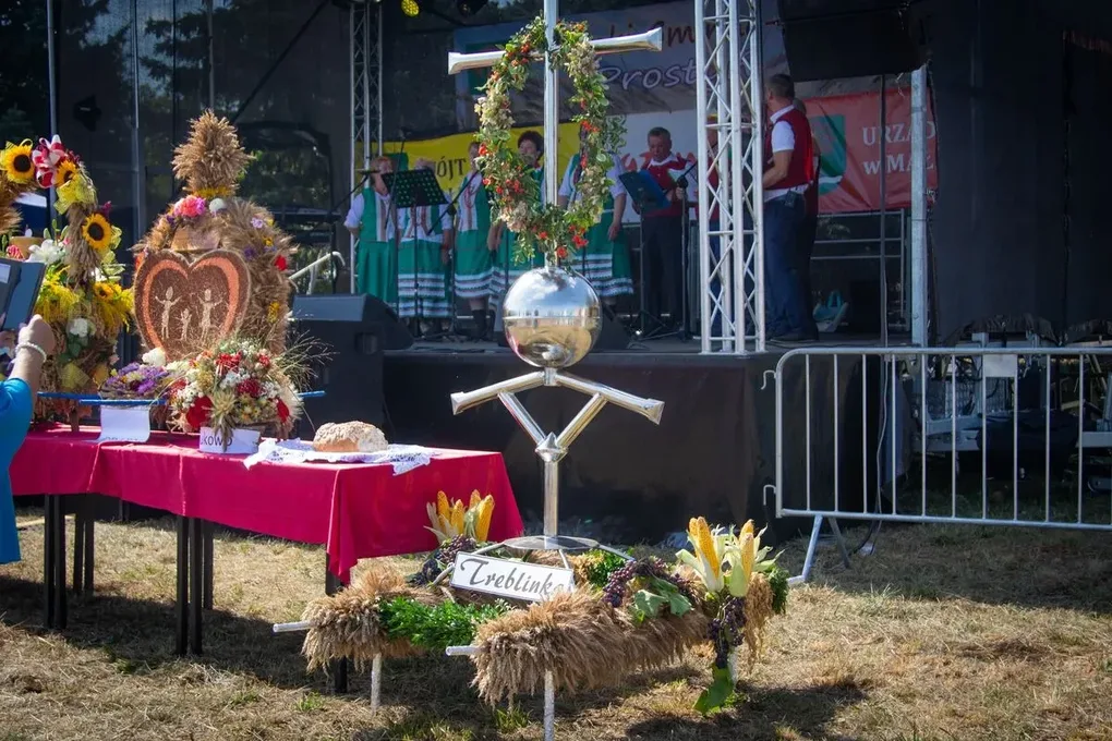 Artyści zaprezentowali swoje utwory na Dożynkach Gminno-Parafialnych w Prostyni (zdjęcia, wideo)