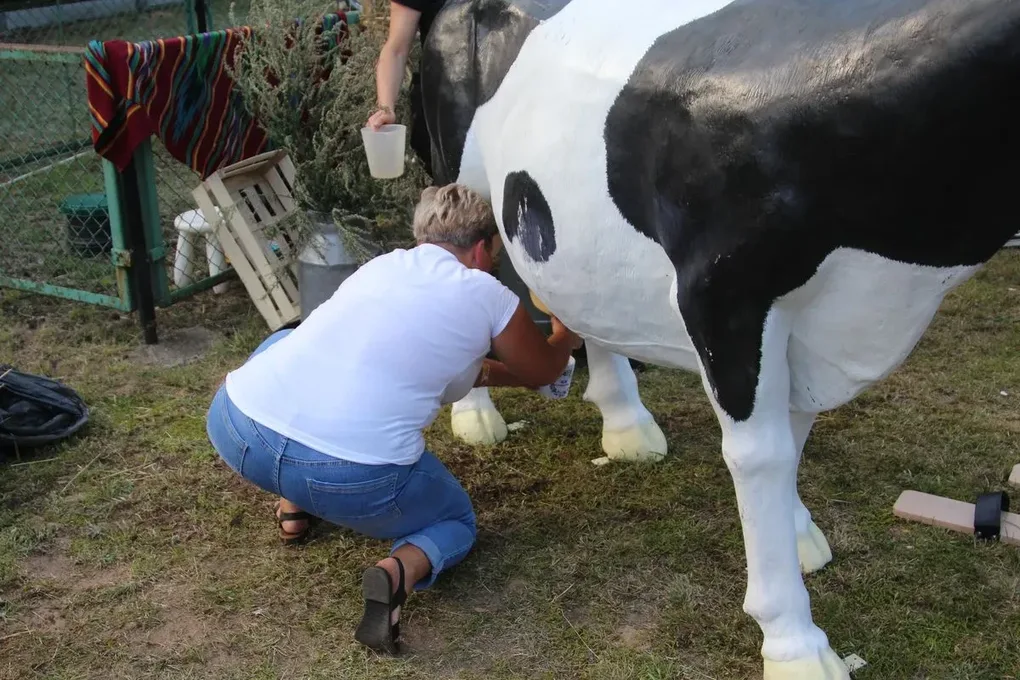 "Turniej Sołectw" podczas V Szulborskiego Święta Plonów! (zdjęcia, wideo)