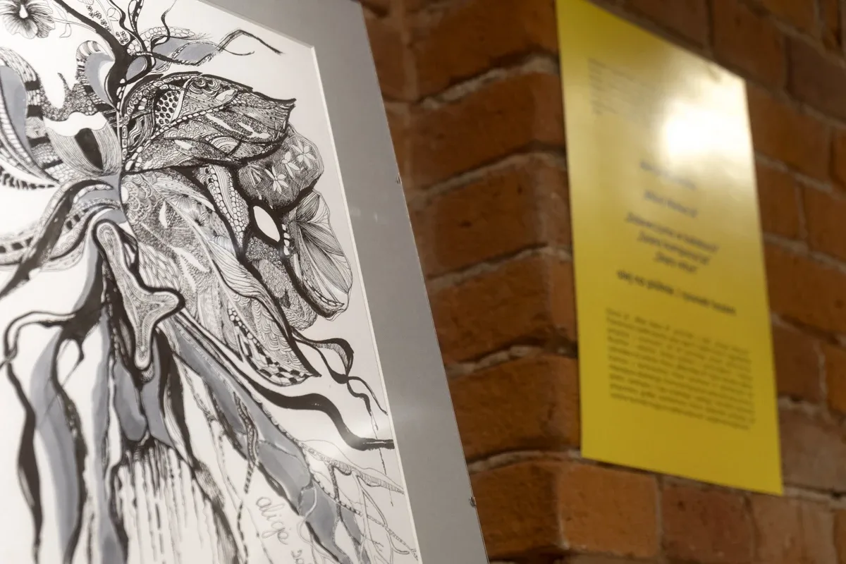 Wystawa ostrowskich artystów już otwarta (zdjęcia)