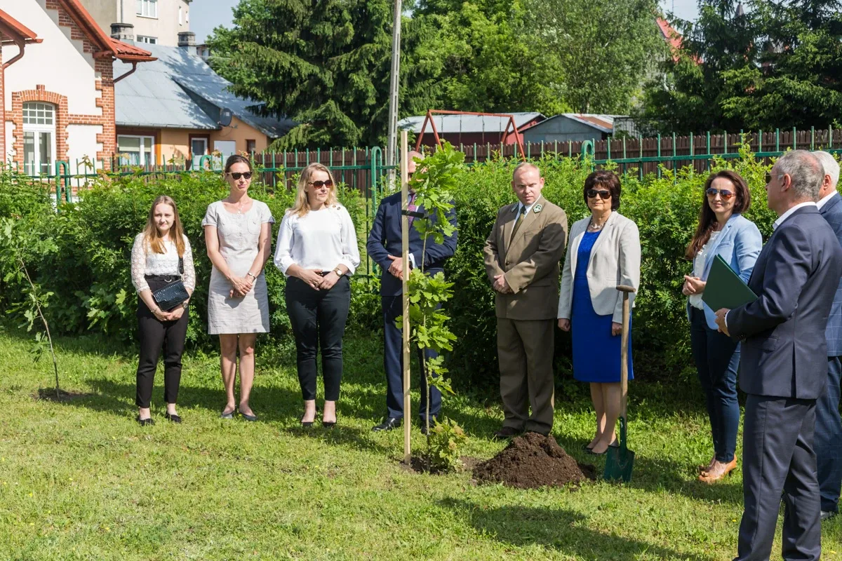 Aleja Dębów powstała na terenie "Ekonomika" (zdjęcia)