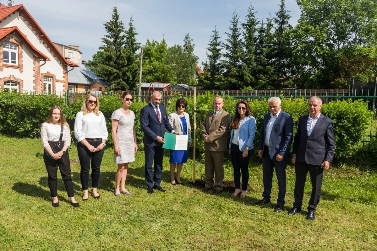 Aleja Dębów powstała na terenie "Ekonomika" (zdjęcia)
