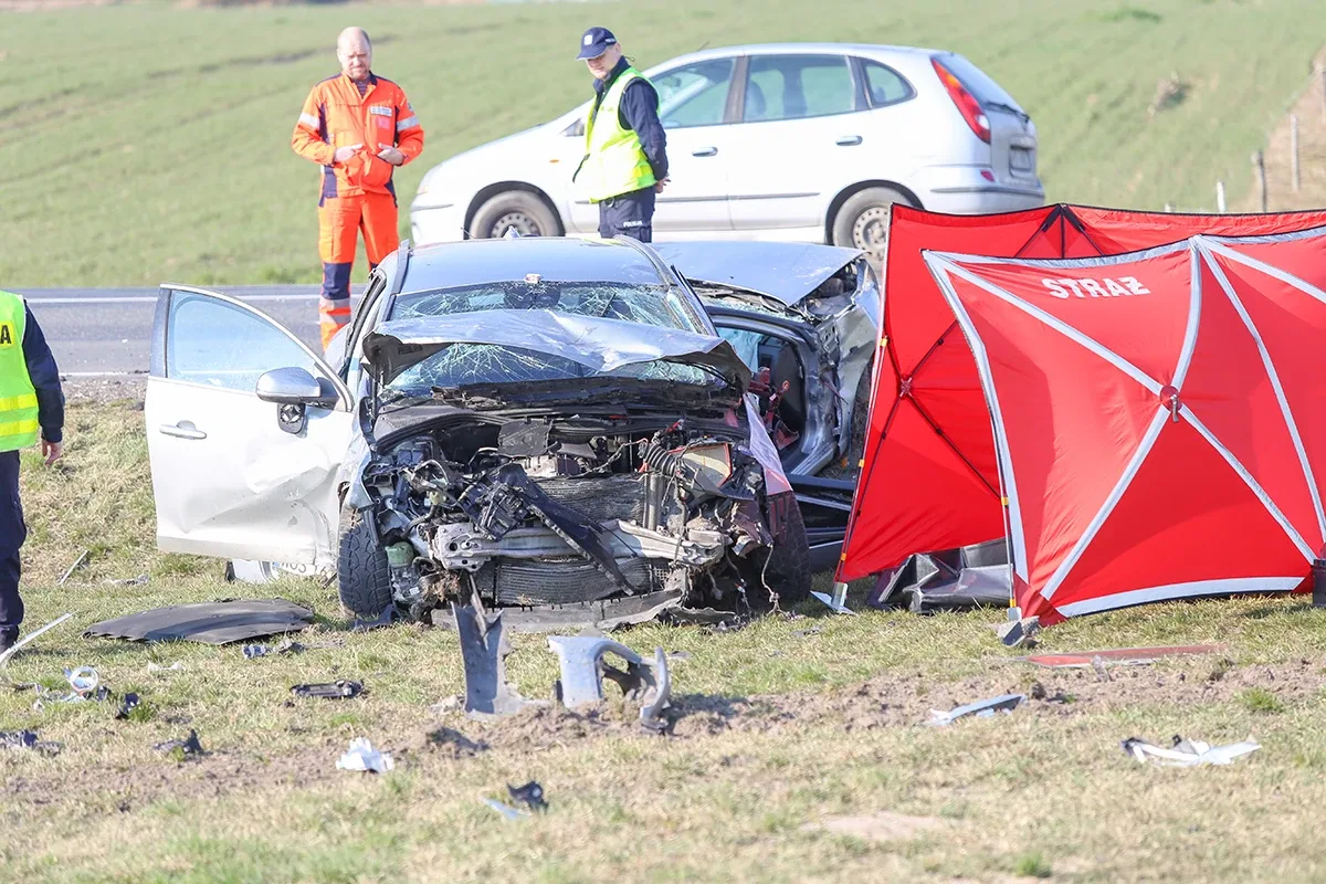 Śmiertelny wypadek na trasie Ostrów Mazowiecka - Różan. Nie żyje 77-letni mężczyzna (zdjęcia)