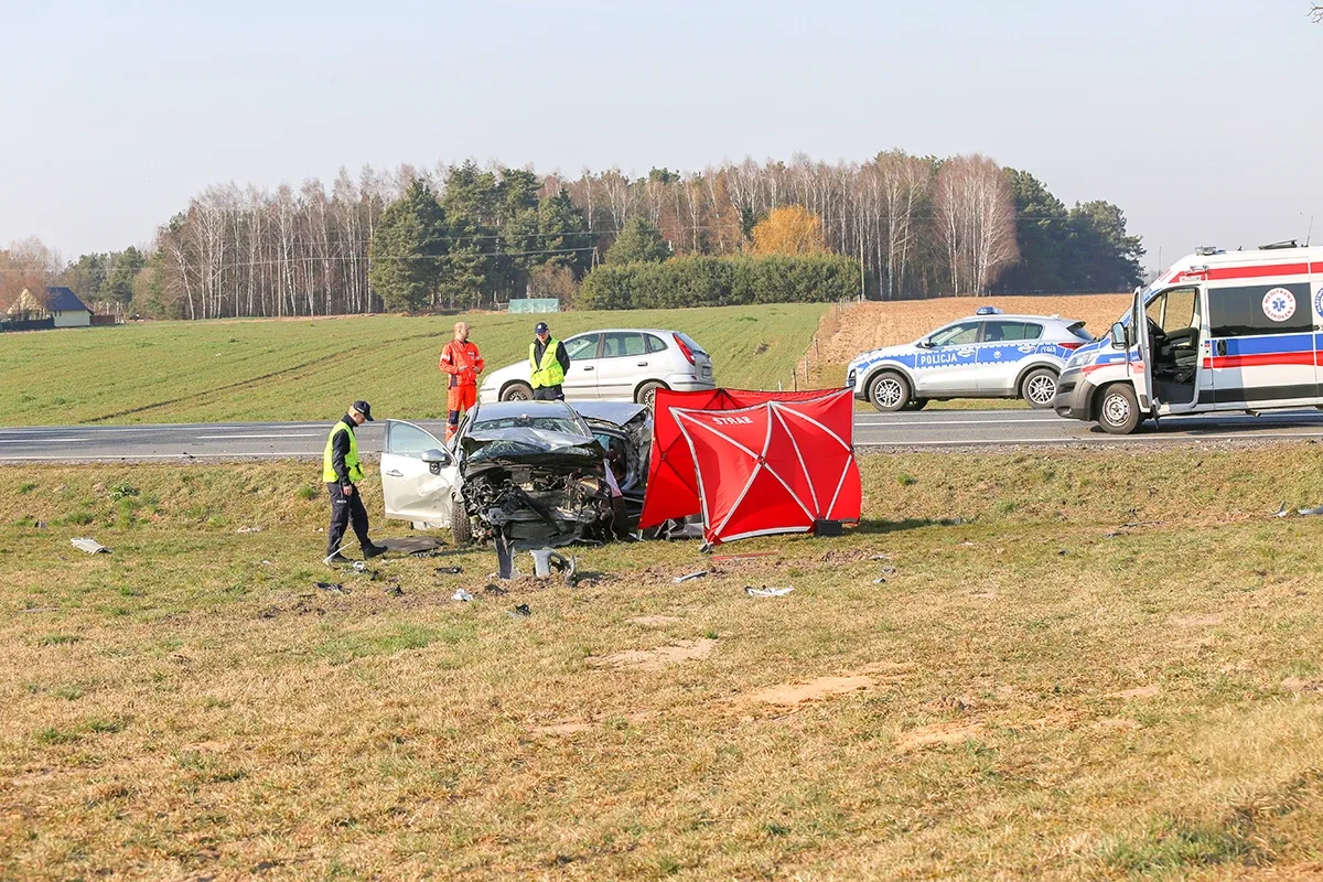 Śmiertelny wypadek na trasie Ostrów Mazowiecka - Różan. Nie żyje 77-letni mężczyzna (zdjęcia)
