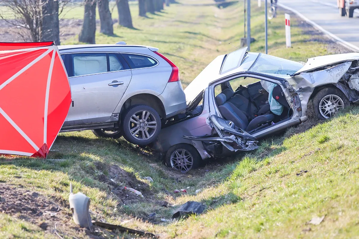 Śmiertelny wypadek na trasie Ostrów Mazowiecka - Różan. Nie żyje 77-letni mężczyzna (zdjęcia)