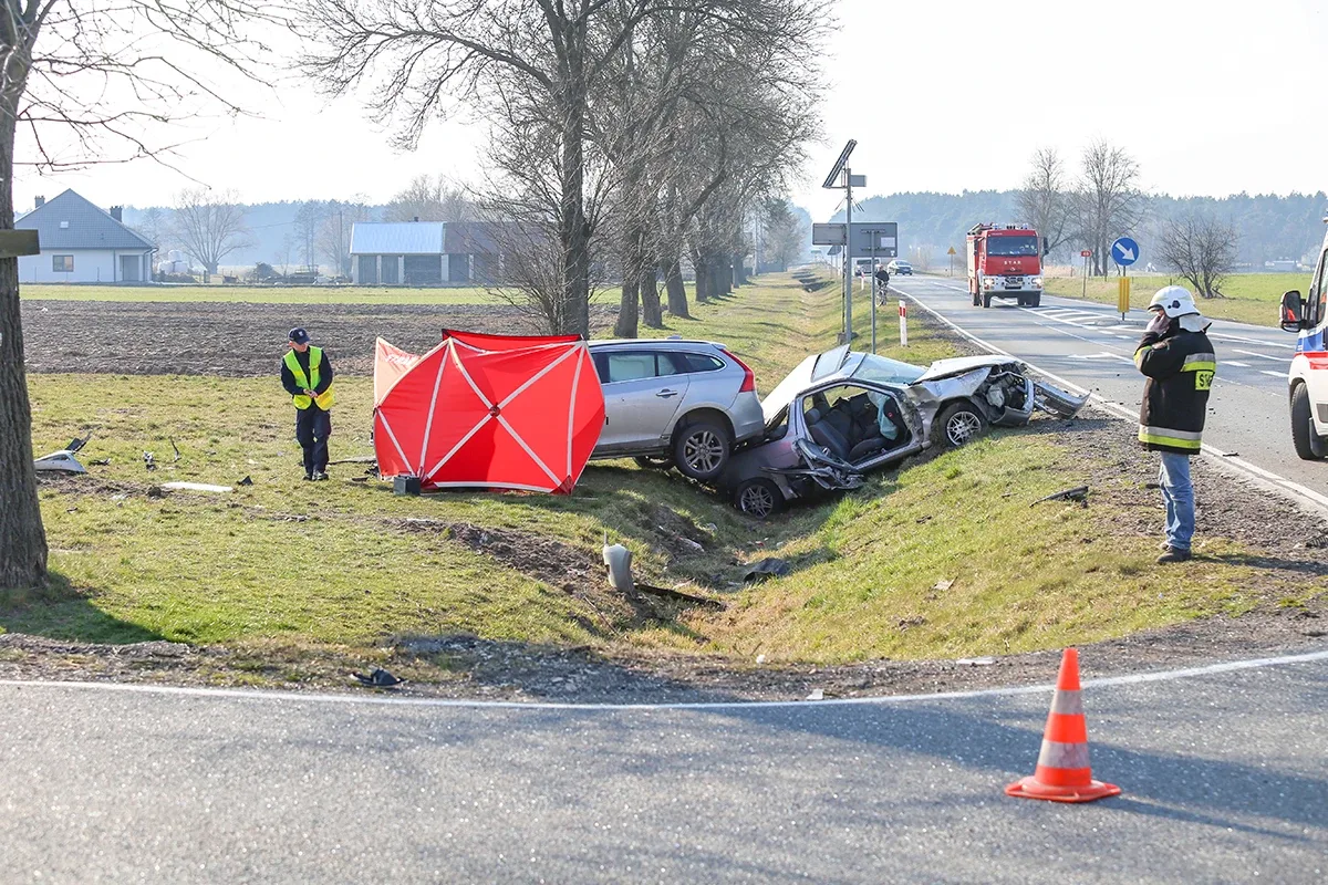 Śmiertelny wypadek na trasie Ostrów Mazowiecka - Różan. Nie żyje 77-letni mężczyzna (zdjęcia)