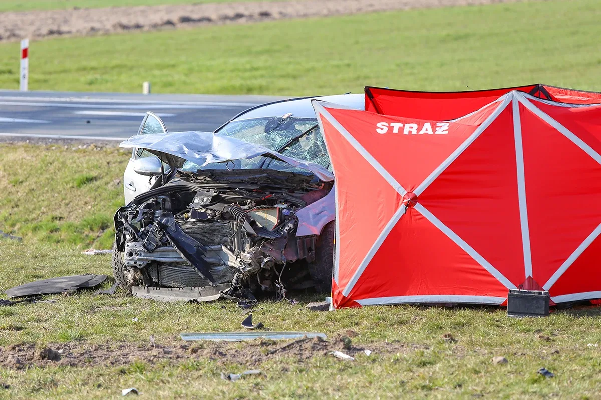 Śmiertelny wypadek na trasie Ostrów Mazowiecka - Różan. Nie żyje 77-letni mężczyzna (zdjęcia)