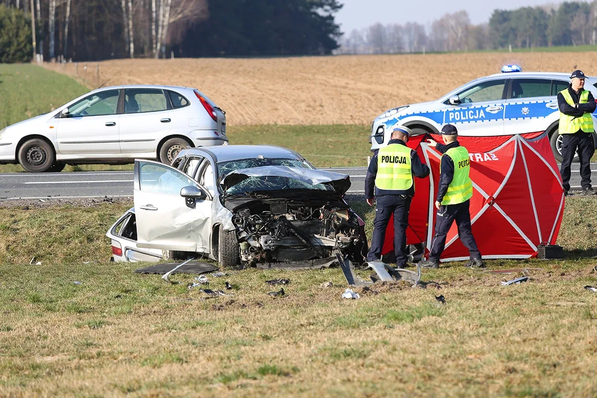 Śmiertelny wypadek na trasie Ostrów Mazowiecka - Różan. Nie żyje 77-letni mężczyzna (zdjęcia)