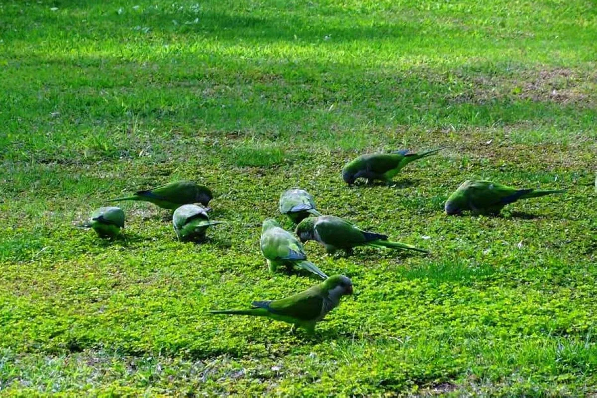 Uczniowie "Rubinka" na praktykach w Hiszpanii (zdjęcia)