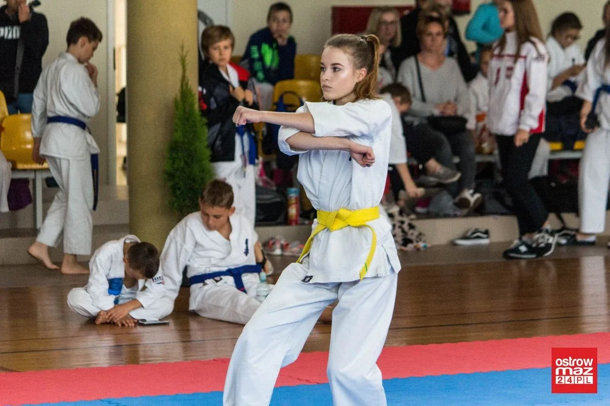 Setki karateków na macie w Sadownem (zdjęcia, wideo)